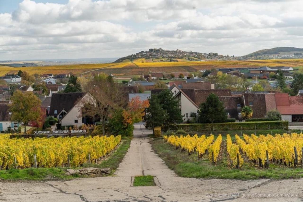 "La Veranda" Gite Verdigny Exterior foto
